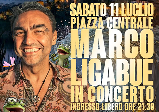 marco ligabue